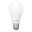 12W LED Dimmable A65 Bulb